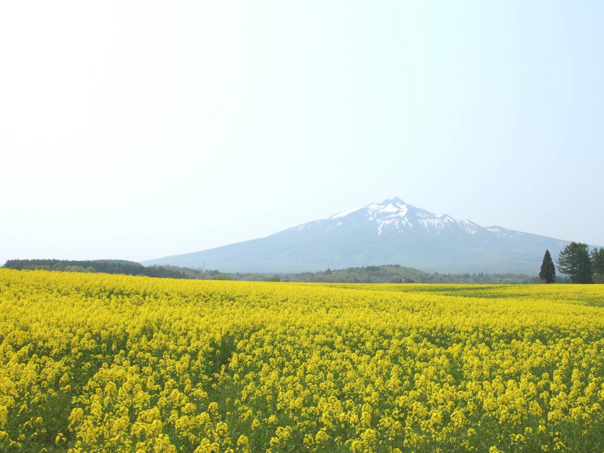 Apa Hotel Aomori Ekihigashi מראה חיצוני תמונה
